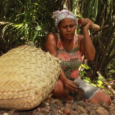 A photo of a Babassu woman working with coconuts