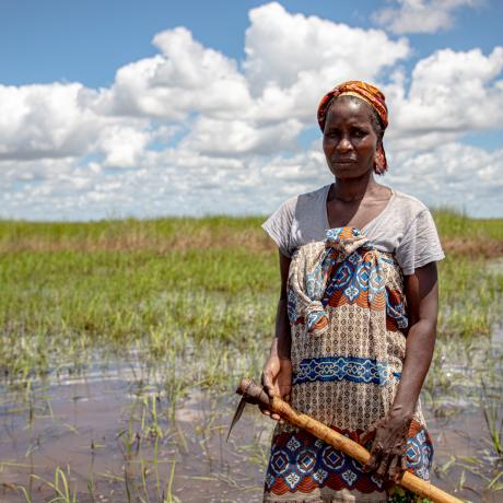 A woman farmer in a flooded field in Mozambique