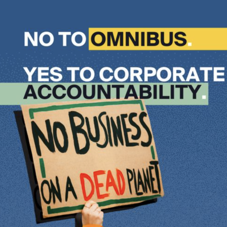 No To Omnibus Proposal Poster